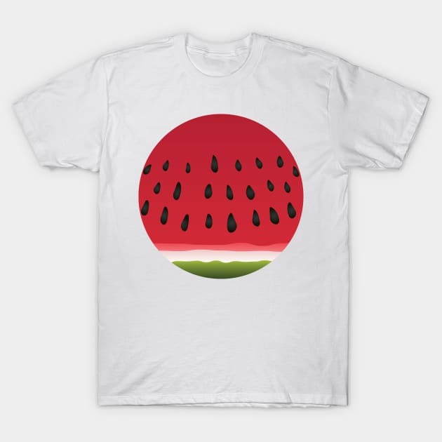 Circled Juicy Red Watermelon Slice T-Shirt by diplikaya